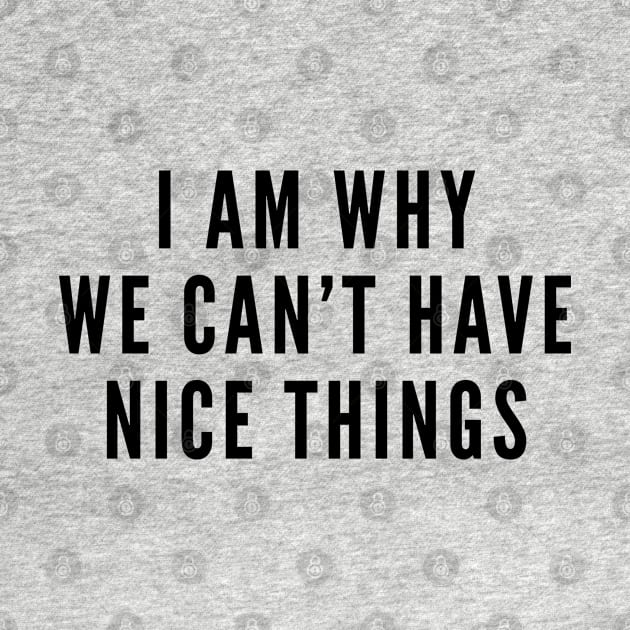 I Am Why We Can't Have Nice Things - Silly Slogan Funny Humor Statement by sillyslogans